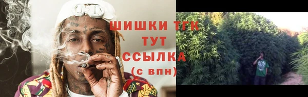 твердый Арсеньев