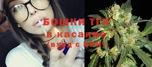 твердый Арсеньев