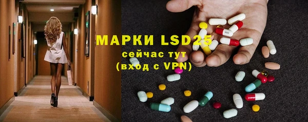 мяу мяу мука Аркадак