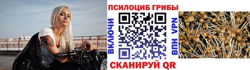 Псилоцибиновые грибы Magic Shrooms даркнет сайт Боровичи