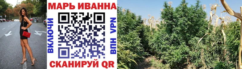 Бошки марихуана MAZAR  где можно купить   Боровичи 